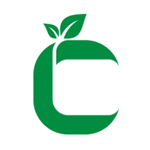 The image shows a green leaf placed on top of the letter "C" which is part of the "Designs Space PRO DIY Crack" design.